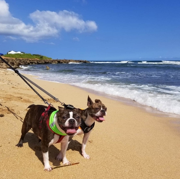 Meet your Posher, Aimee - Picture 2 of 12